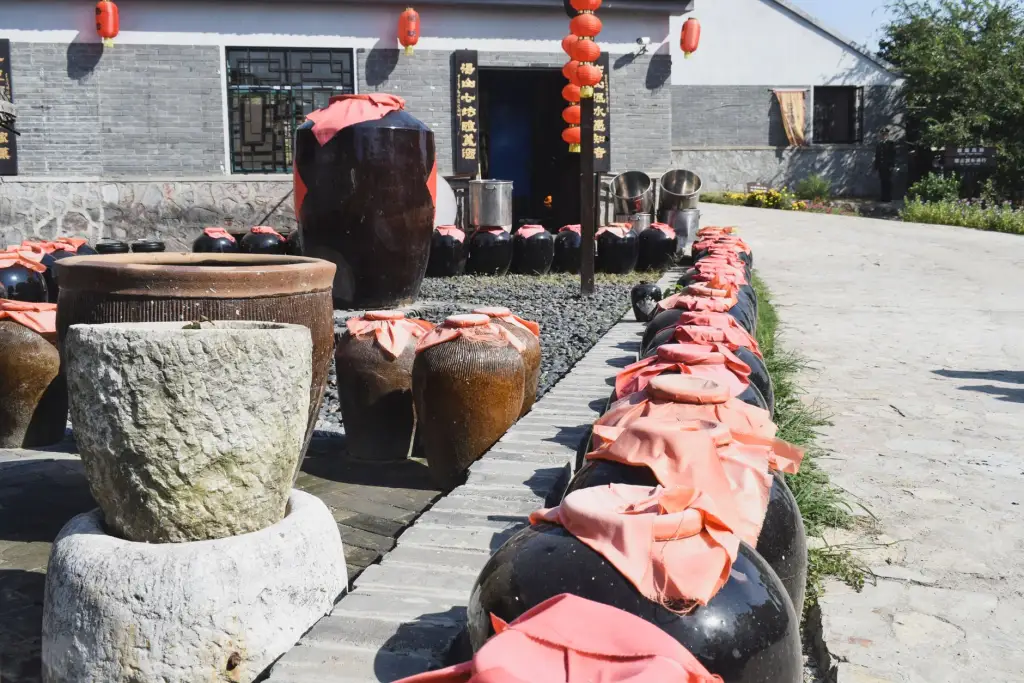 纸杯与纸盘生产工艺对比：质量管控关键点解析