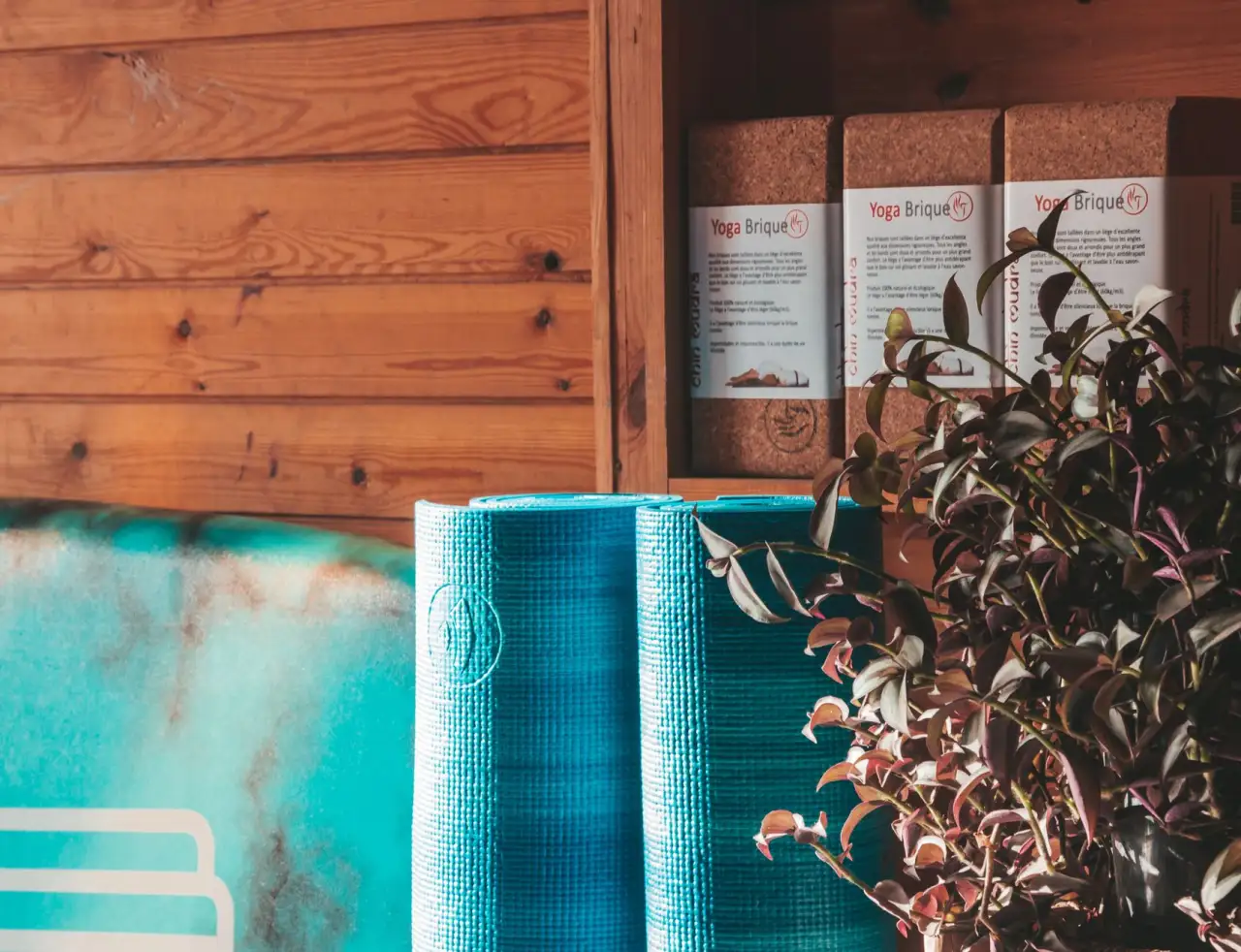 2025年一次性纸杯纸碗行业环保标准升级趋势解读正文配图 1