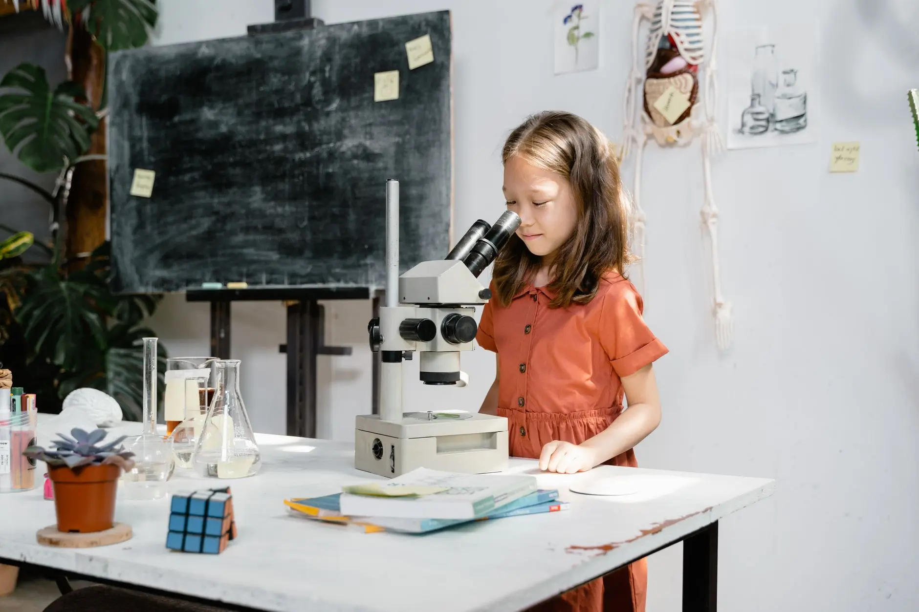邢台老焦商贸纸杯系列产品材质与环保标准解析