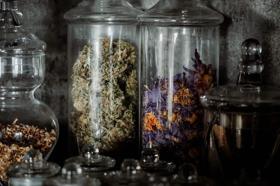 纸杯纸碗等一次性餐饮包装的材质分类与选购要点解析