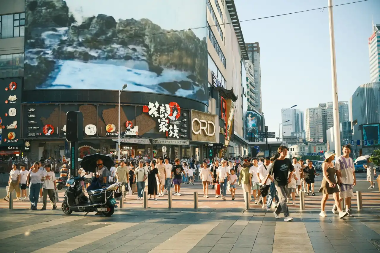 2025年河北餐饮外卖包装新规对纸杯纸碗采购的影响分析