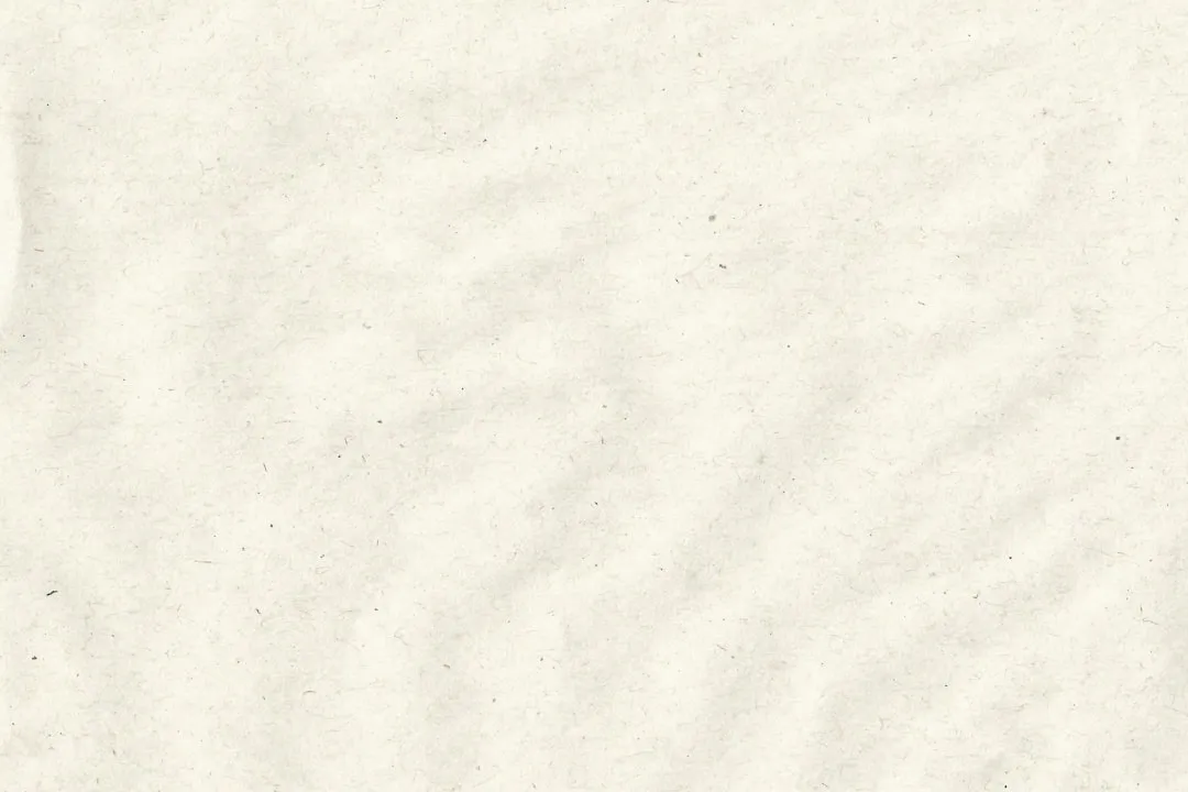 纸餐盒与纸盘在户外聚会场景中的搭配方案及承重性能对比正文配图 2